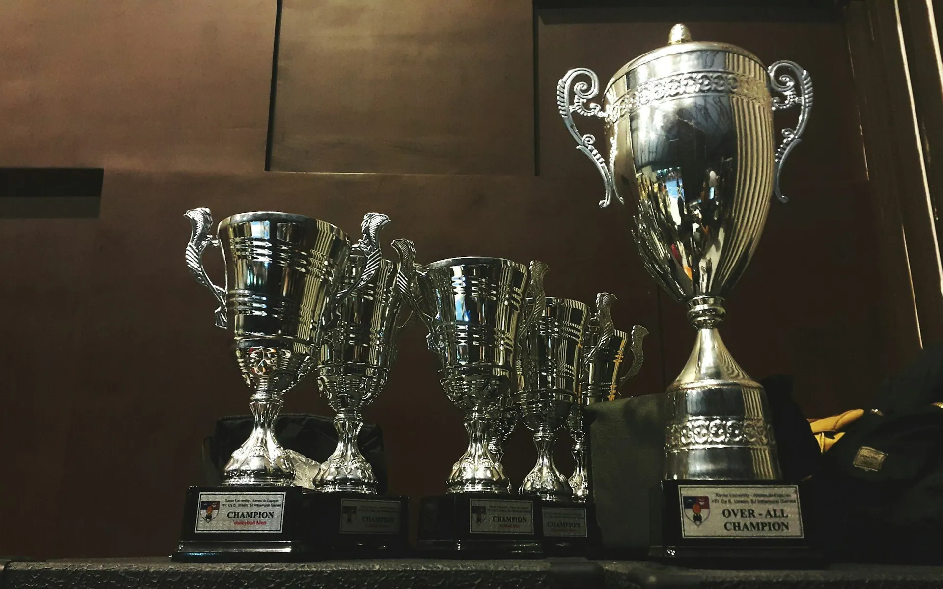 Row of award trophies of increasing size, from smallest to largest