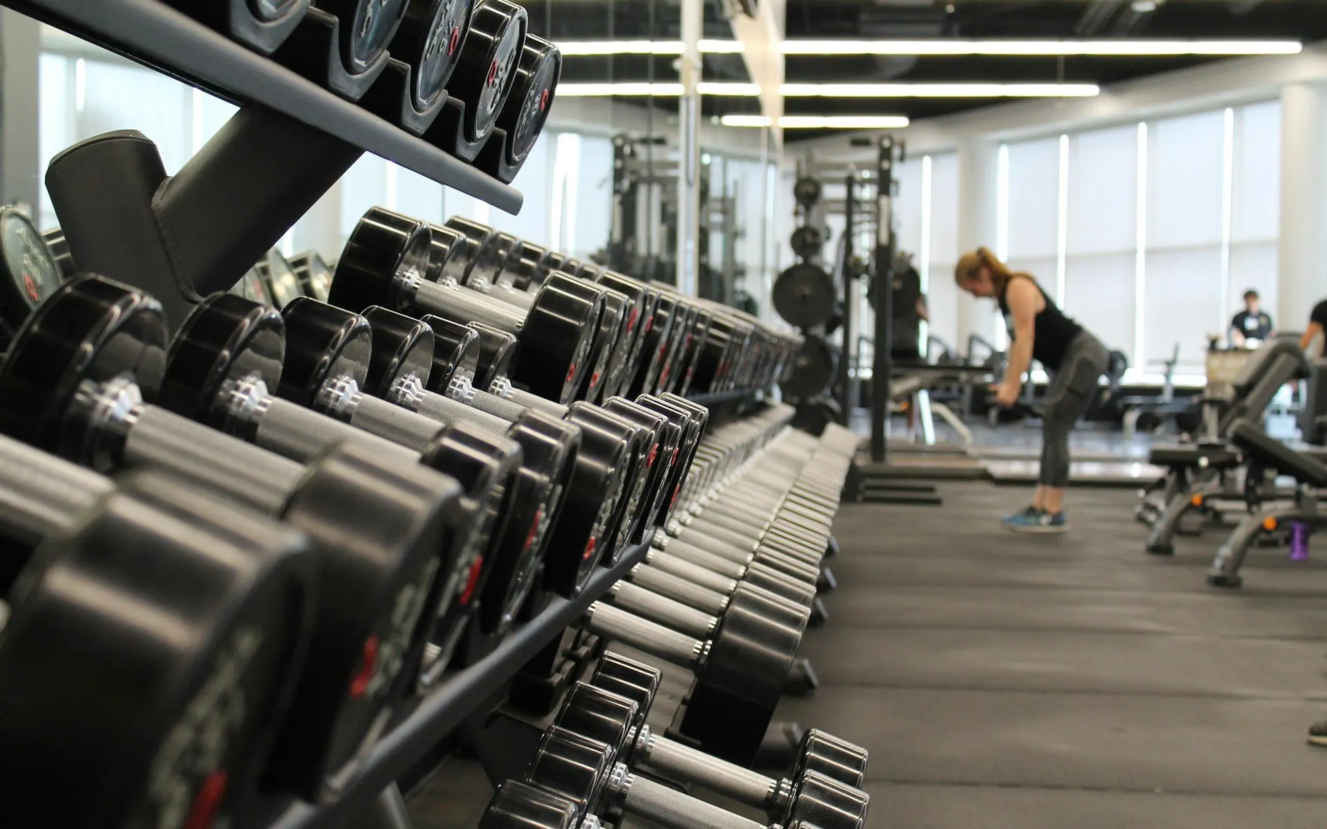 Row of dumbbells on a rack in a gym