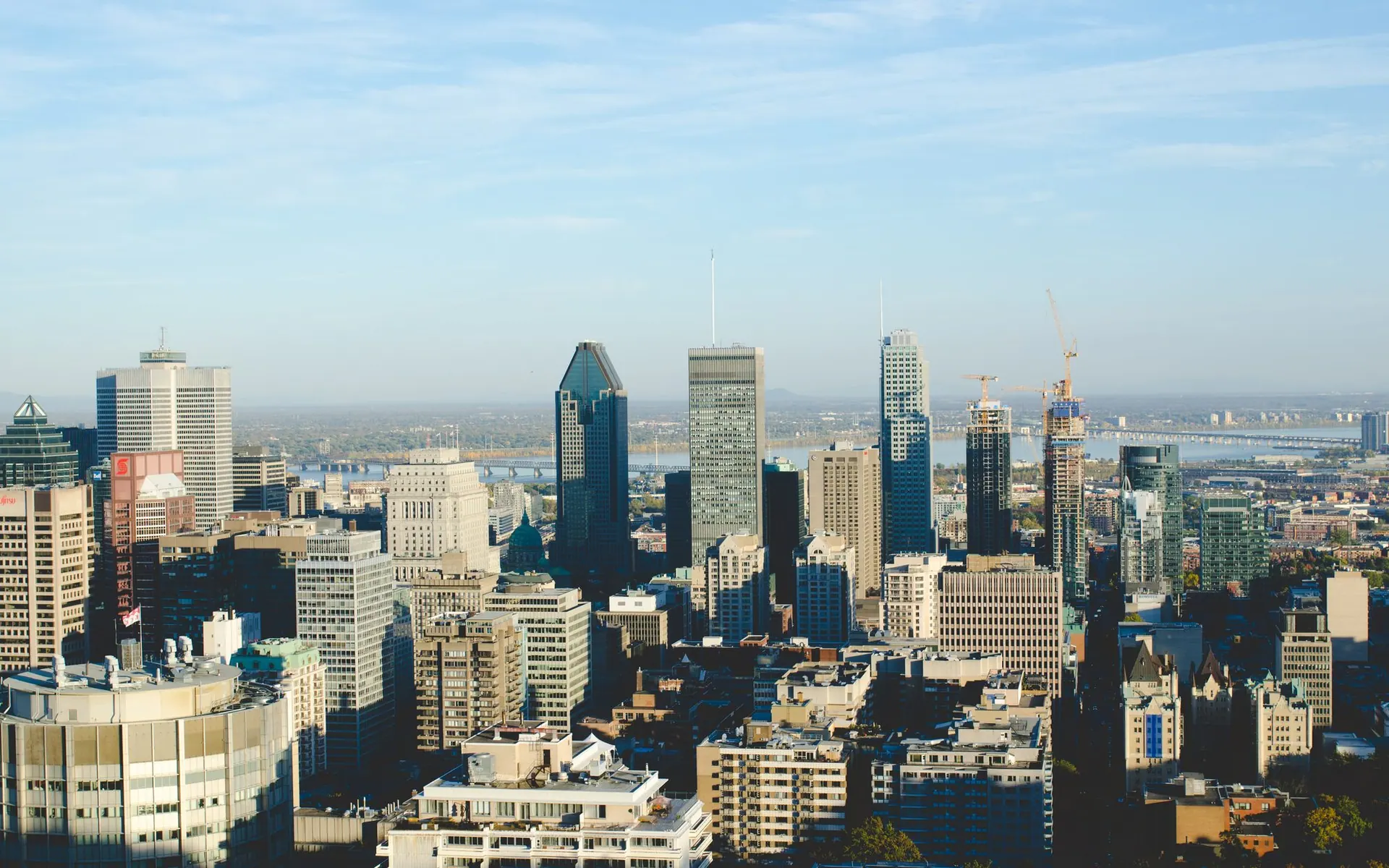 Montreal cityscape and downtown glass towers seen from Mount Royal